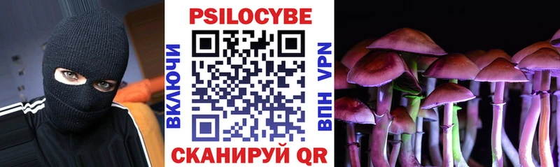 как найти закладки  Конаково  мега как зайти  Галлюциногенные грибы Psilocybine cubensis 